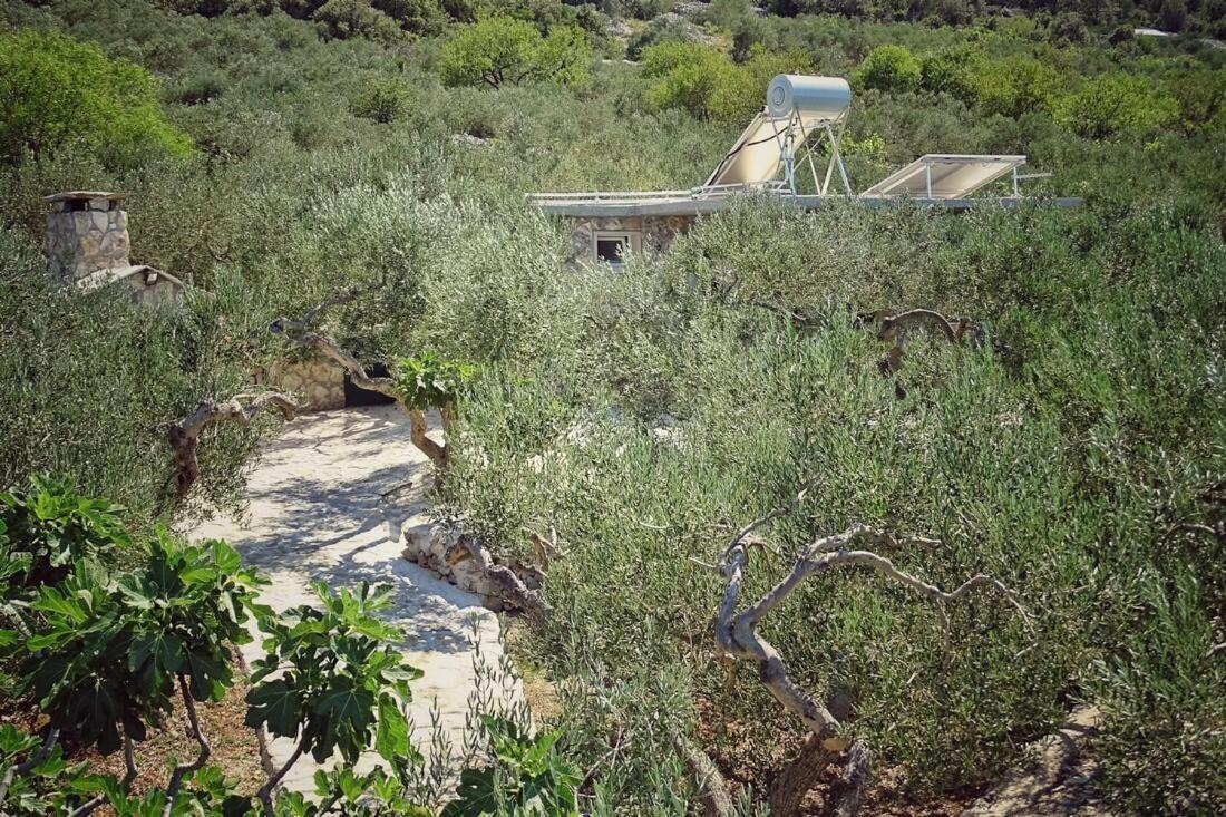 Secluded Holiday House Povlja, Brac - 14500 Екстер'єр фото